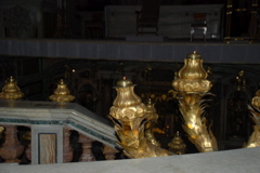 DSC_0199.JPG