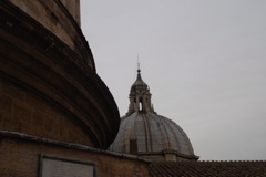 DSC_0223.JPG