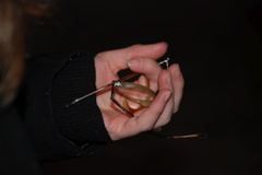 DSC_0058.JPG