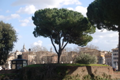 DSC_0078.JPG