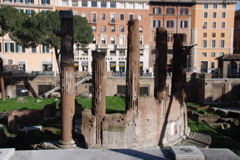 DSC_0087.JPG