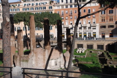 DSC_0088.JPG