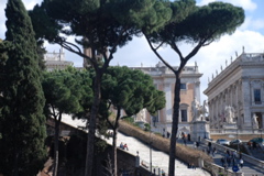 DSC_0091.JPG