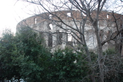 DSC_0123.JPG