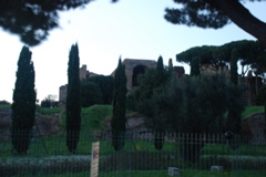 DSC_0129.JPG
