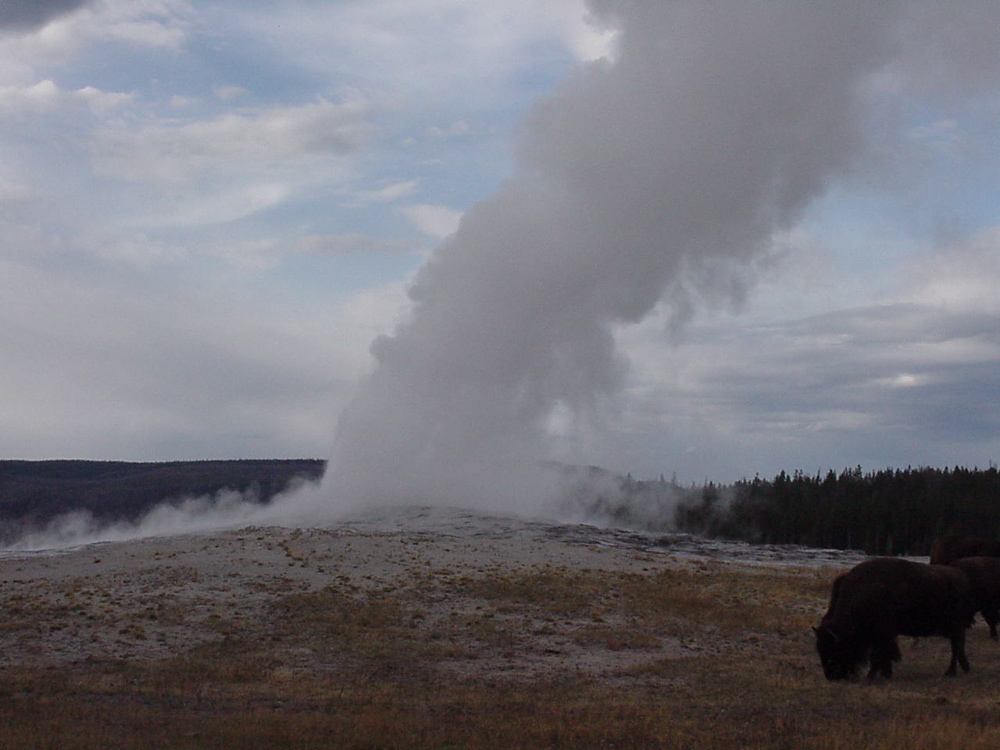 oldfaithful8