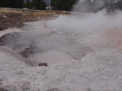 geiser9