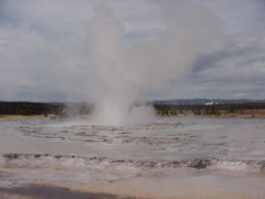 geiser3