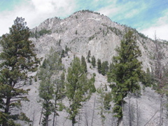 mountain2