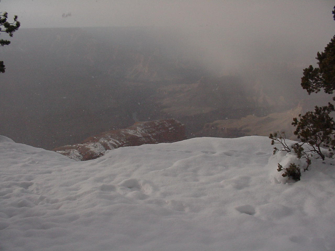 GC22.jpg, 110730 bytes, 1/16/01