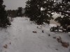 GC snow path.jpg