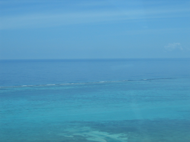 IMG_1150.JPG