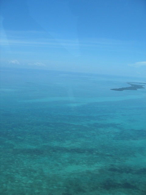 IMG_1151.JPG