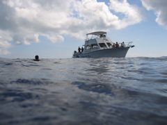 IMG_0992.JPG