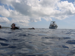 IMG_0991.JPG