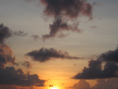 IMG_0934.JPG