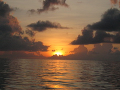IMG_0933.JPG