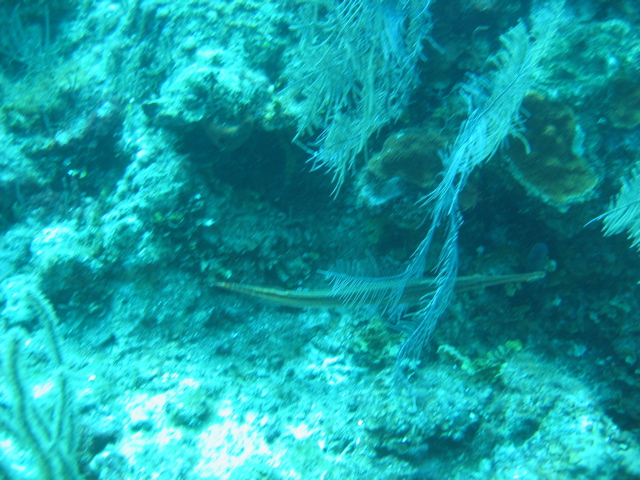 IMG_1053.JPG