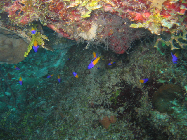 IMG_1055.JPG