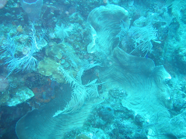 IMG_1062.JPG