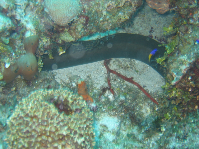 IMG_1071.JPG