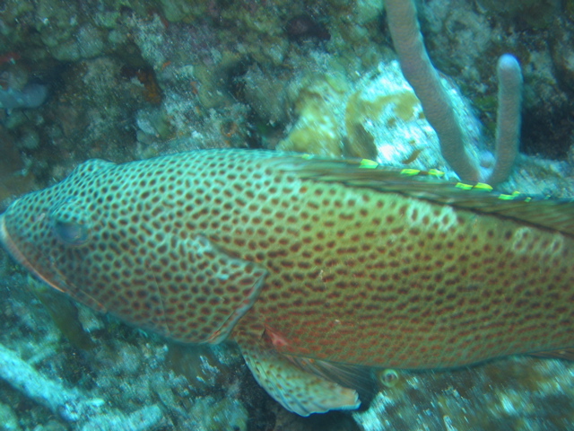 IMG_1072.JPG