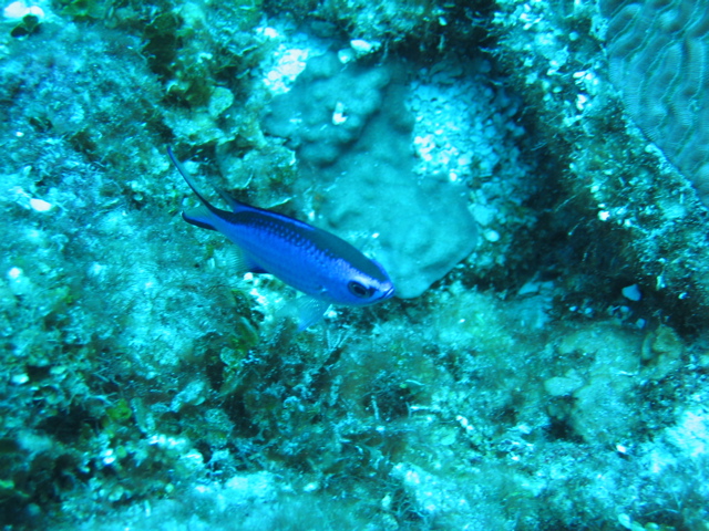 IMG_0954.JPG