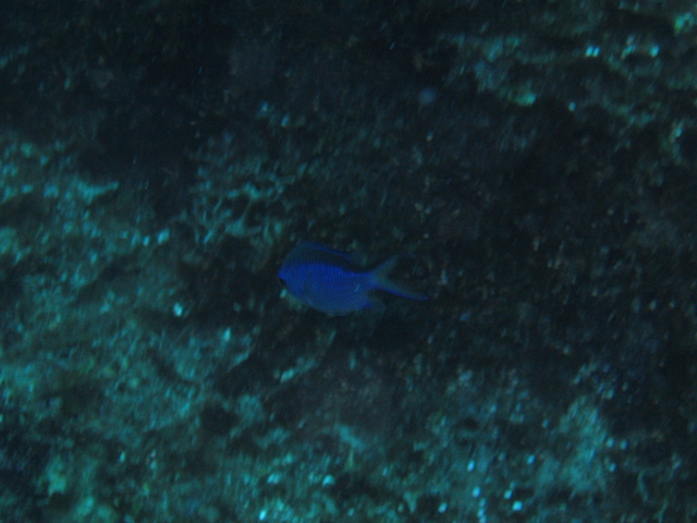 IMG_0956.JPG