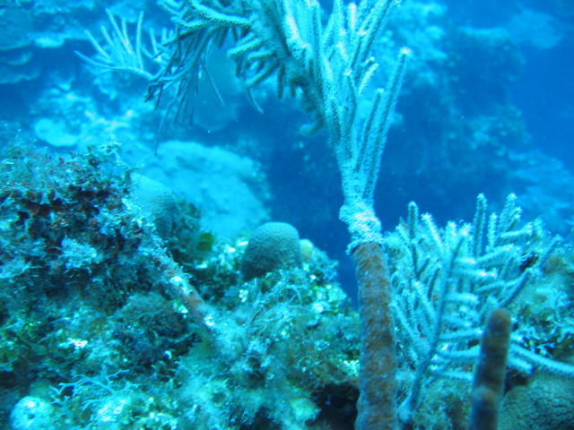IMG_0958.JPG