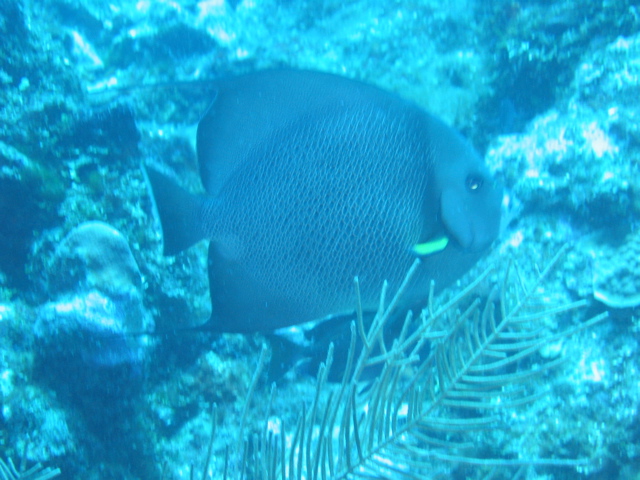 IMG_0959.JPG
