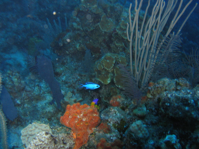 IMG_1000.JPG
