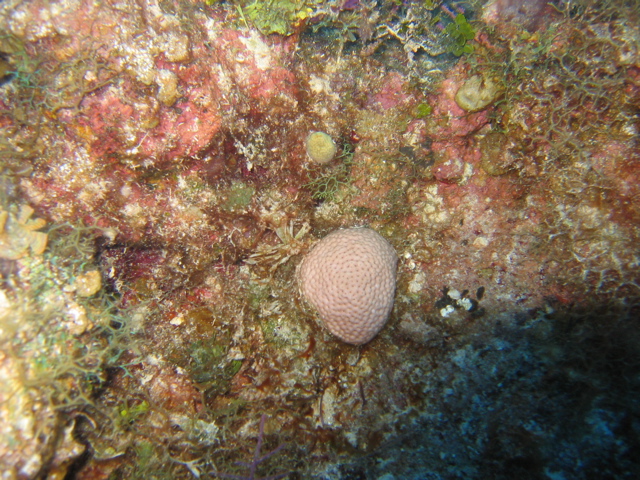 IMG_1001.JPG