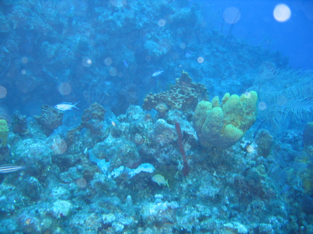 IMG_1004.JPG