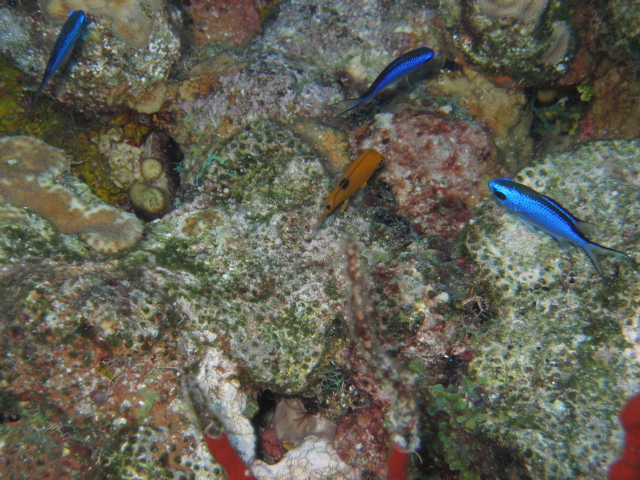 IMG_1012.JPG