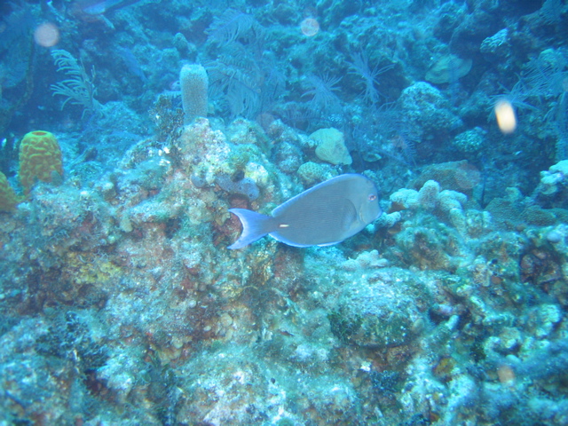 IMG_1027.JPG