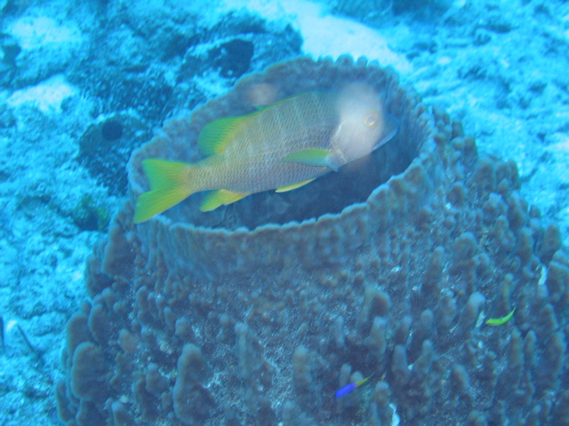 IMG_1034.JPG