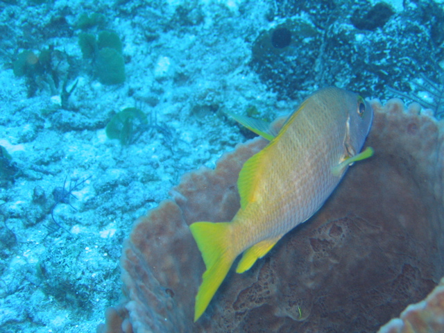 IMG_1035.JPG