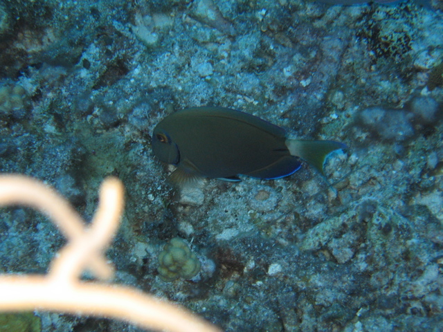 IMG_1046.JPG