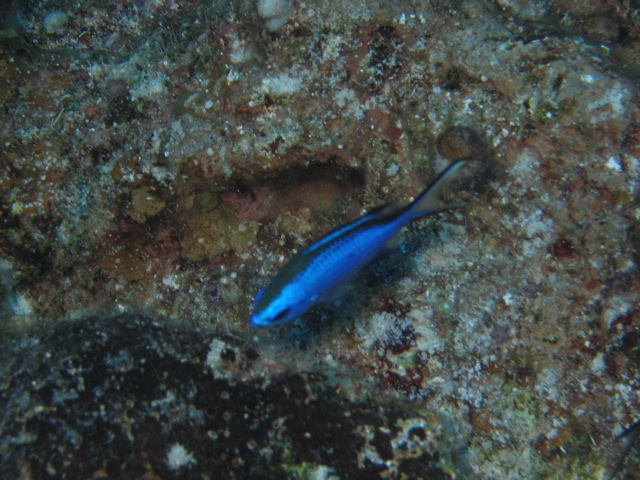 IMG_1049.JPG