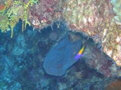 IMG_0940.JPG