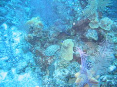 IMG_1050.JPG