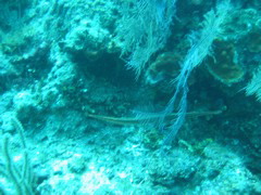 IMG_1053.JPG