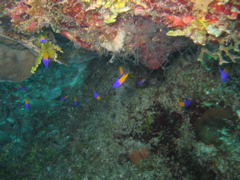 IMG_1055.JPG