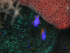 IMG_1056.JPG