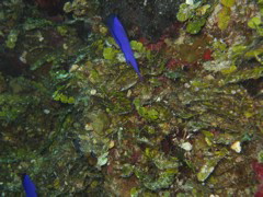 IMG_1058.JPG