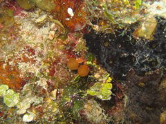 IMG_1059.JPG