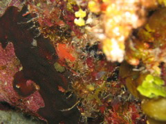 IMG_1060.JPG