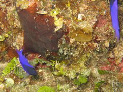 IMG_1061.JPG