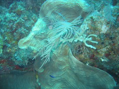 IMG_1063.JPG