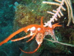 IMG_1064.JPG